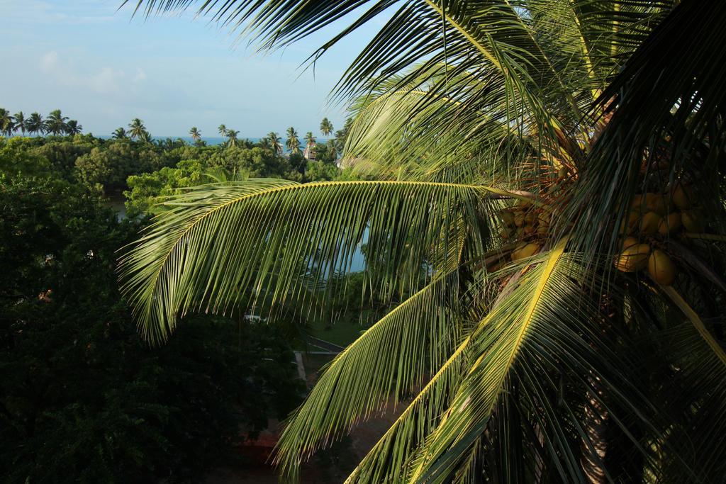 Hideaway Lodge Tangalle Exterior foto
