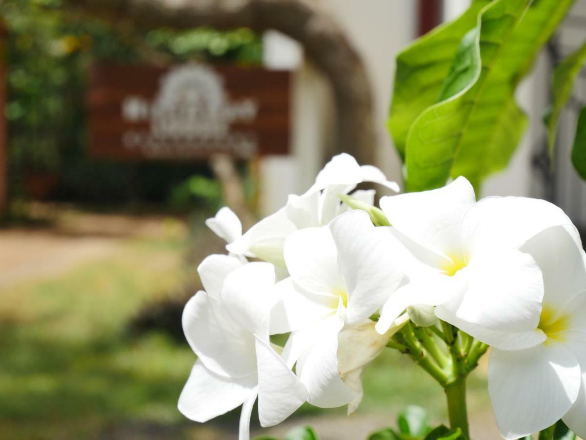 Hideaway Lodge Tangalle Exterior foto